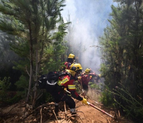 Incendio en el Parque Nacional “Los Alerces”: amplían el dispositivo con brigadistas de cinco provincias y más recursos