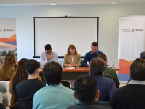 Industria Naval: la Provincia y empresarios analizaron del proyecto de promoción del sector