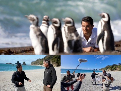 Provincia acompaña el estreno nacional del documental "El Señor de los Pingüinos"