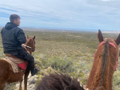 Provincia sigue con la búsqueda de la pareja desaparecida en cercanías de Comodoro Rivadavia
