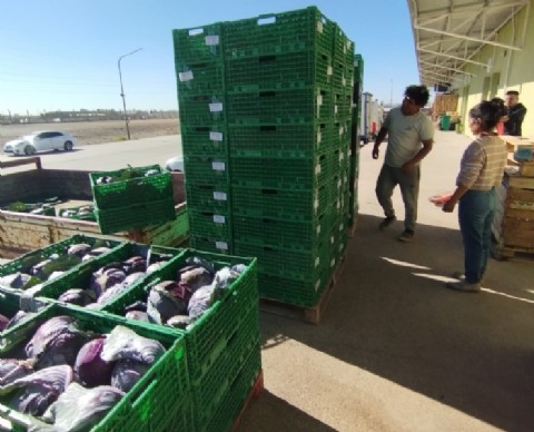 Provincia avanza en la apertura de nuevos mercados para productores del Valle Inferior del río Chubut
