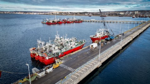 Puerto Madryn y Rawson lideran desembarques de langostino en el país a partir de políticas del Gobierno provincial