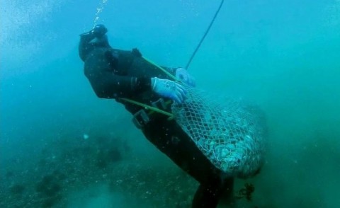 Investigan la muerte de un pescador artesanal en Puerto Lobos: usaba equipo en mal estado