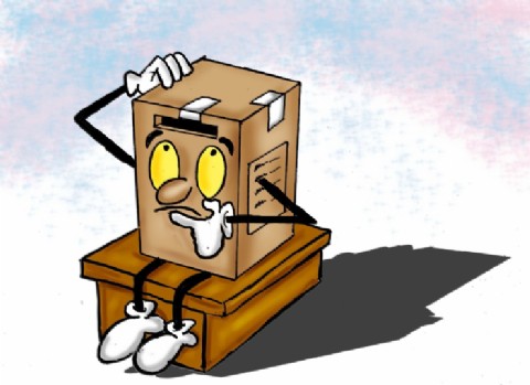 Más de 470 mil chubutenses definen candidatos en las elecciones PASO