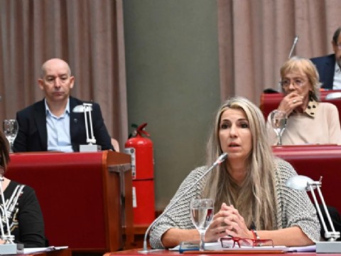 Legisladores le exigieron a Milei la implementación de políticas públicas en la previa de la temporada invernal