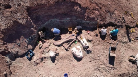 Provincia acompaña una nueva campaña paleontológica que fortalece el conocimiento científico y el patrimonio chubutense