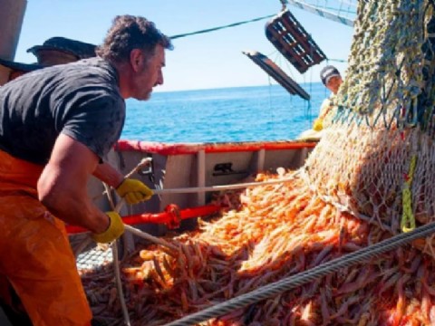 Mesa sectorial: la pesca de Chubut espera la convocatoria urgente