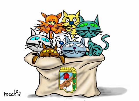 VIDEO | ¡Explotó el peronismo provincial! Dante Bowen aseguró que el peronismo será más competitivo