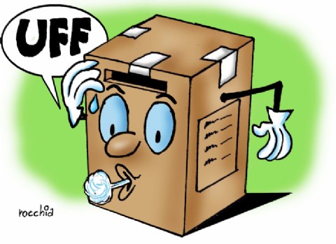 Más de 470 mil chubutenses definen candidatos en las elecciones PASO