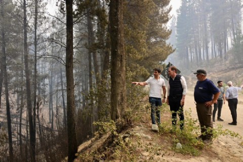 Torres aseguró que “la prioridad es la seguridad de los vecinos” y anunció una recompensa para dar con los responsables