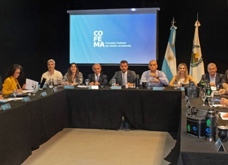 Chubut participó de una nueva asamblea del Consejo Federal de Medio Ambiente