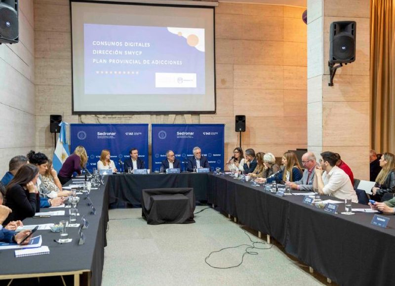 Chubut participó de un nuevo encuentro del Consejo Federal de Drogas