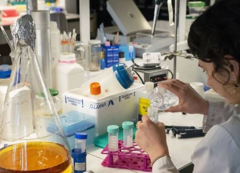 Chubut abrió la convocatoria 2026 para las becas doctorales cofinanciadas con CONICET