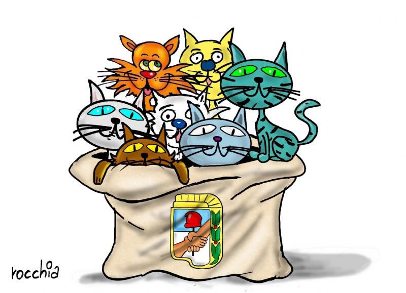 VIDEO | ¡Explotó el peronismo provincial! Dante Bowen aseguró que el peronismo será más competitivo